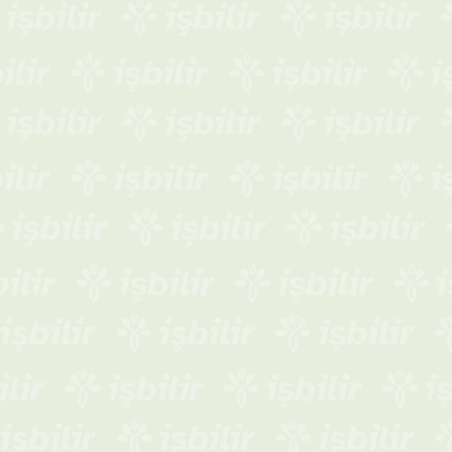 Mustafa İŞBİLİR